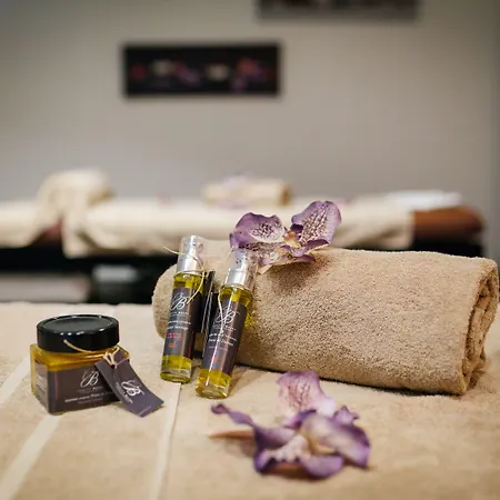 Hotel Restaurant Athena