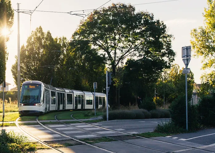 Restaurant Athena Hotel 4*